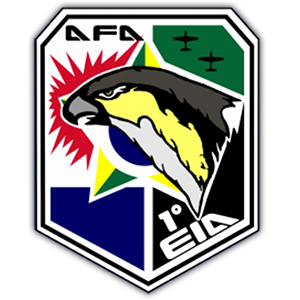 1º Esquadrão de Instrução Aérea